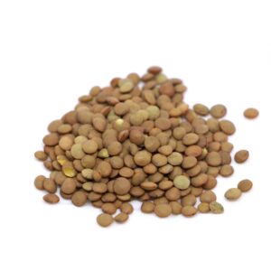 Organic lentils seed for microgreens and sprouts