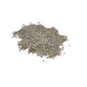 Organic lettuce seed