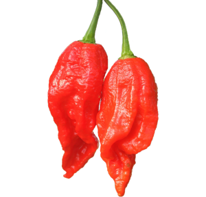 Semi per Peperoni Piccanti biologici
