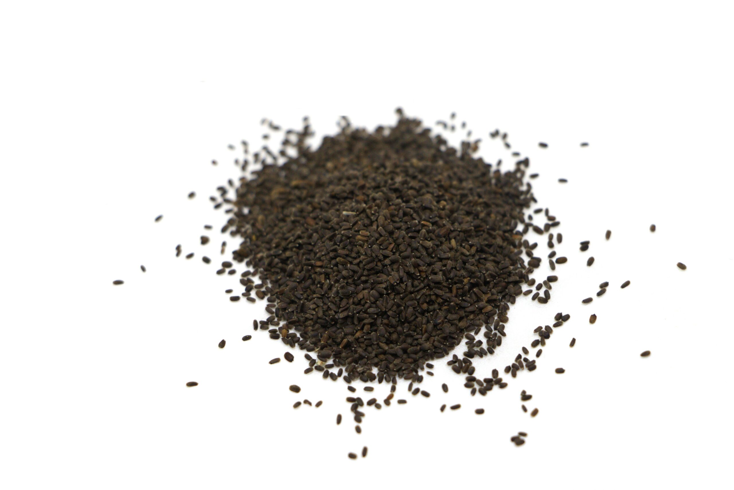 Anise hyssop organic seed