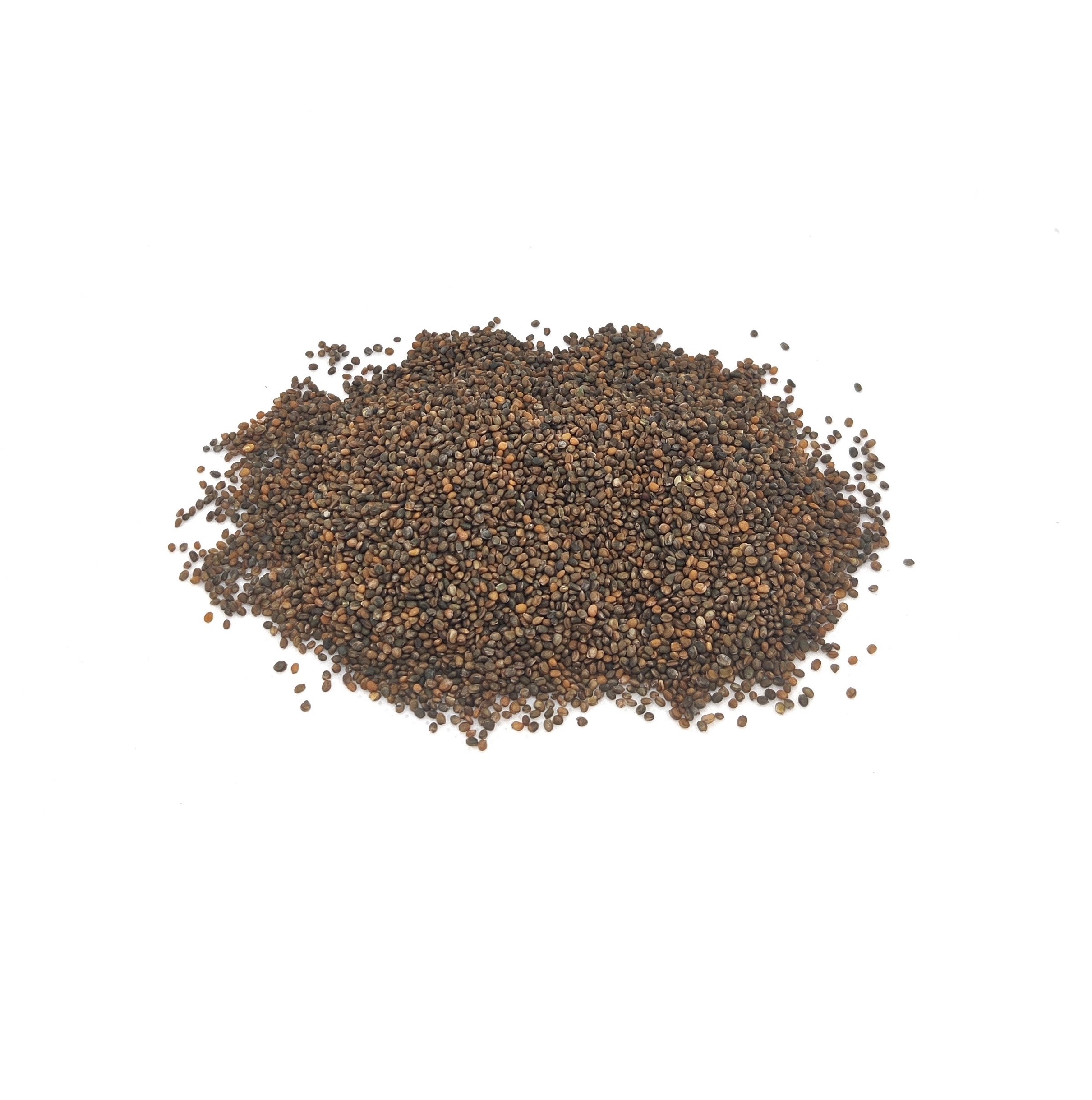 Organic Rocket for microgreens