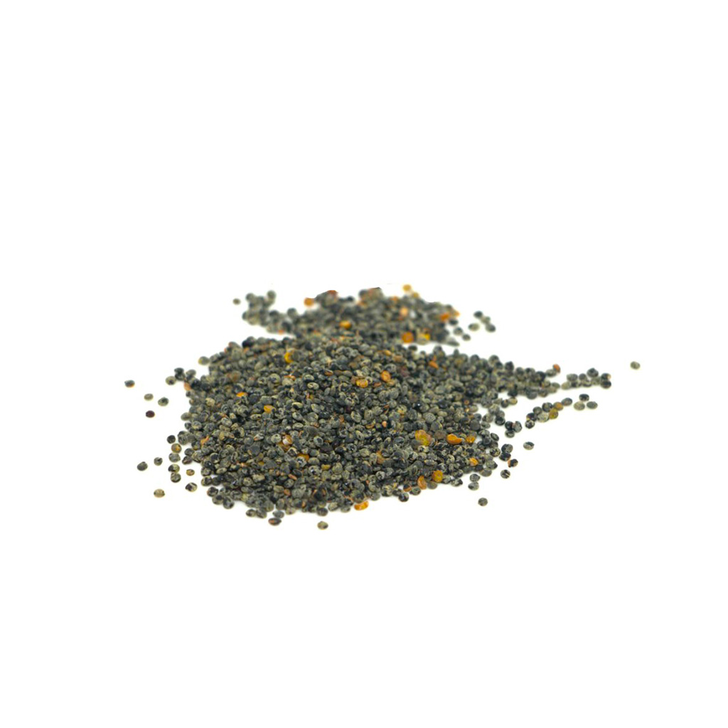 Orach red organic seed