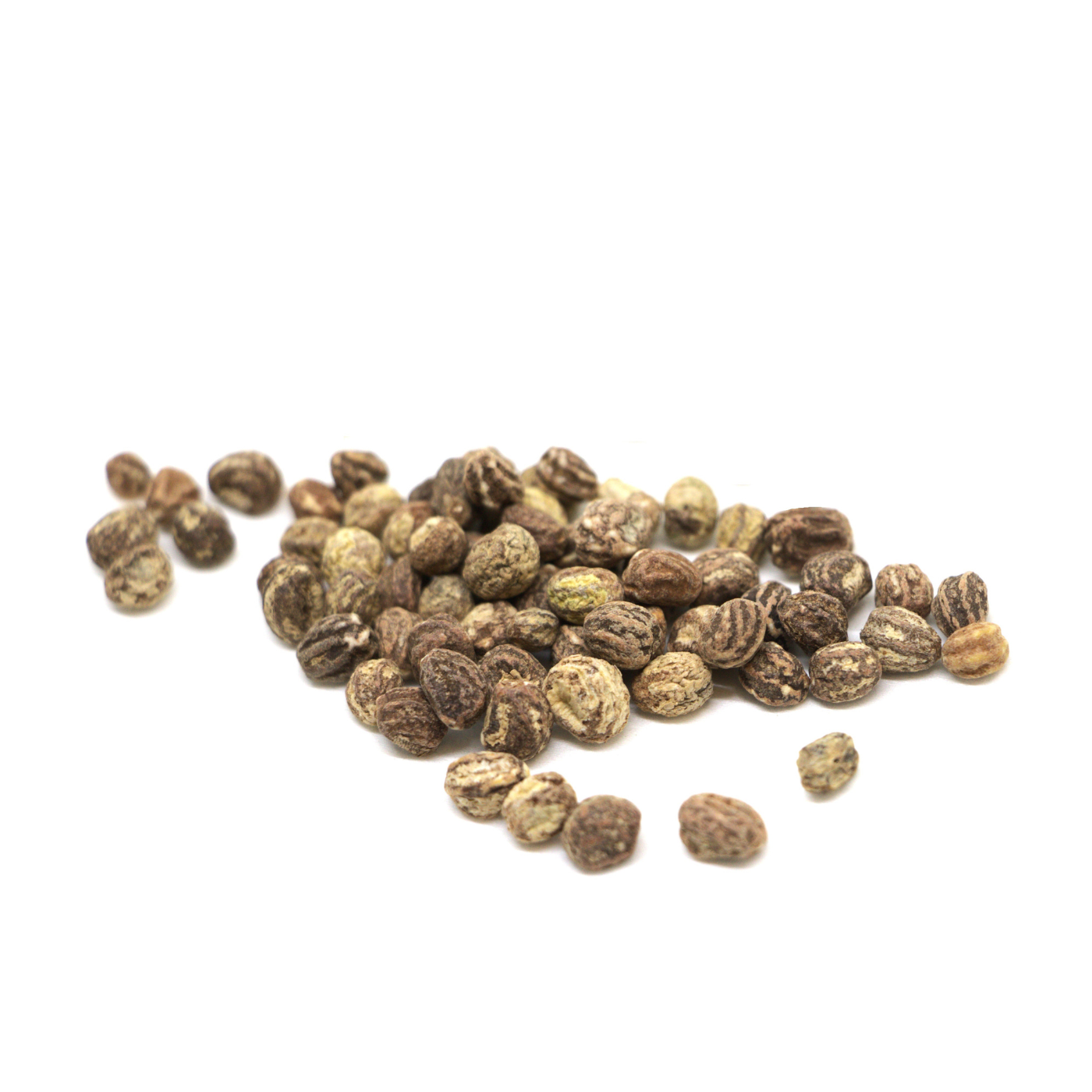 Organic seeds of Nasturtium Alaska