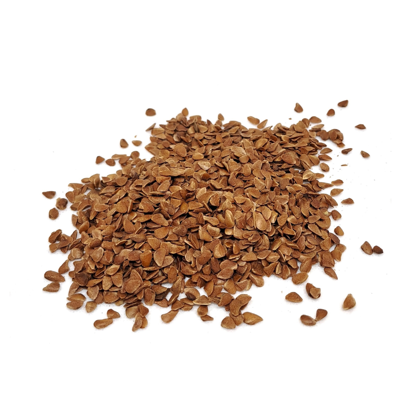 Toona organic seeds for microgreens