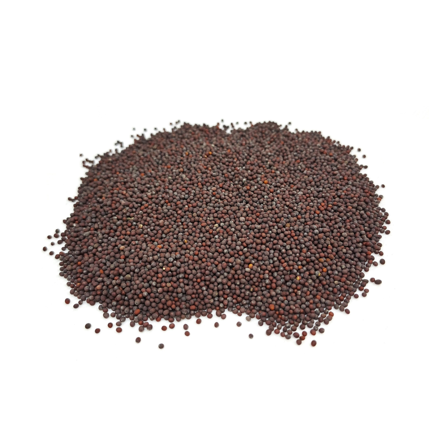 Organic seeds of Green Mizuna