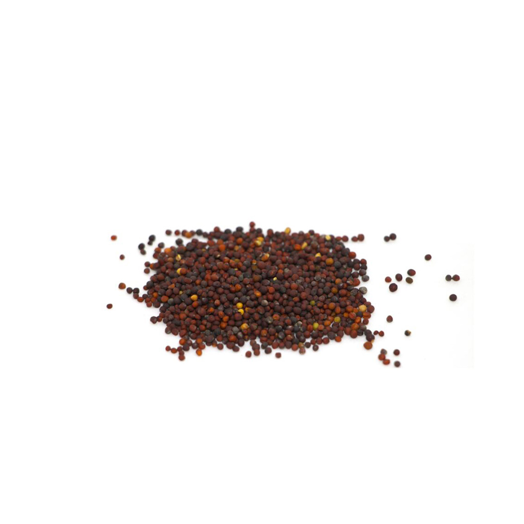 Organic Komatsuna red seed