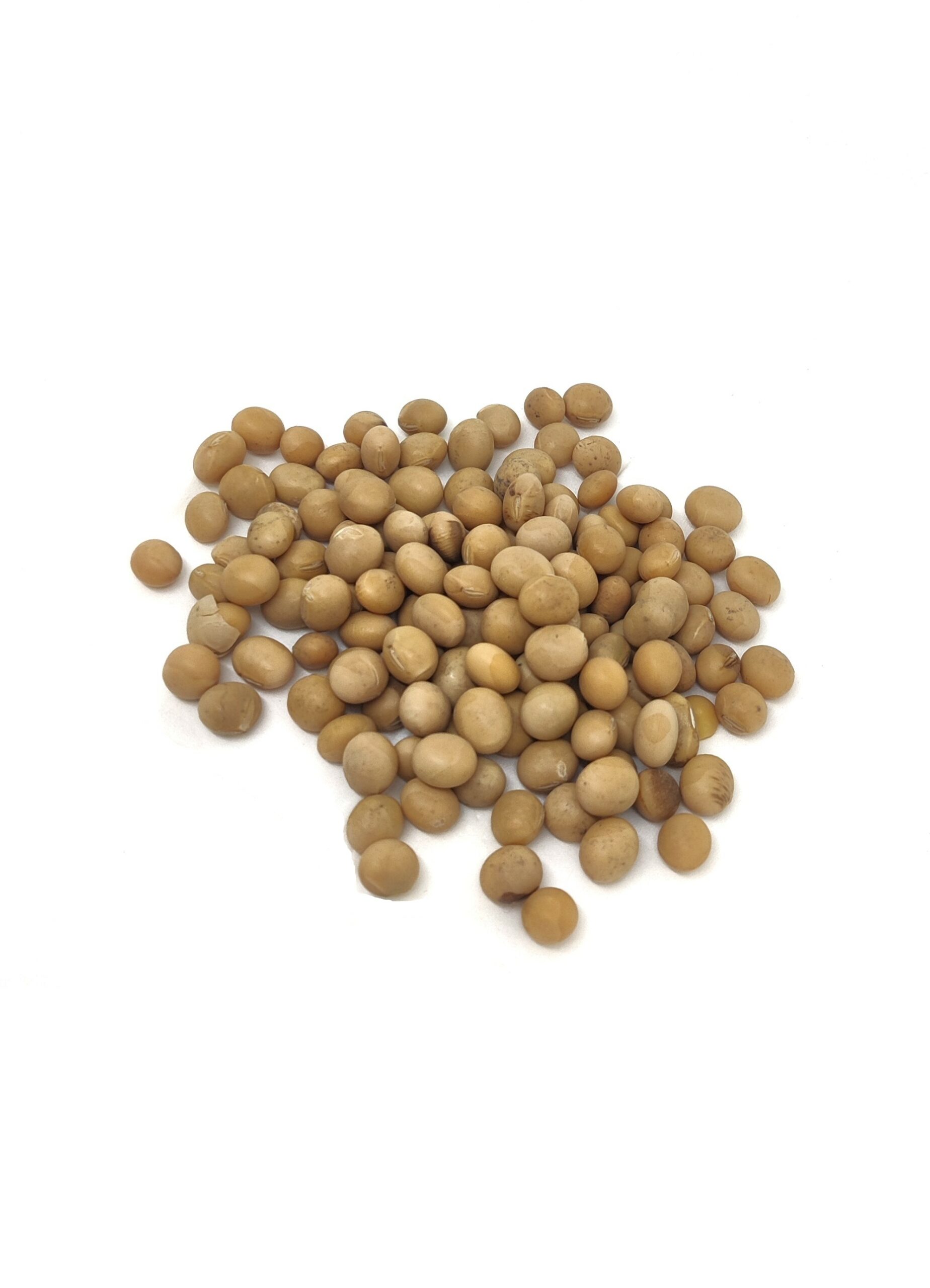 Organic soya bean