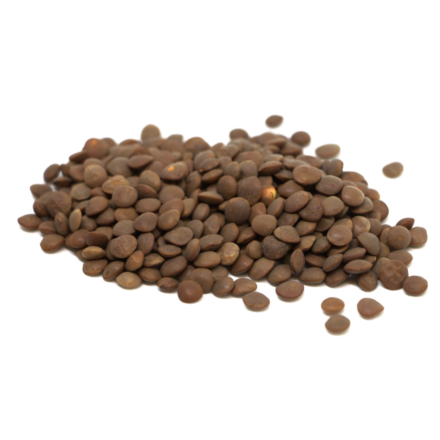 Organic seeds of red Lentils
