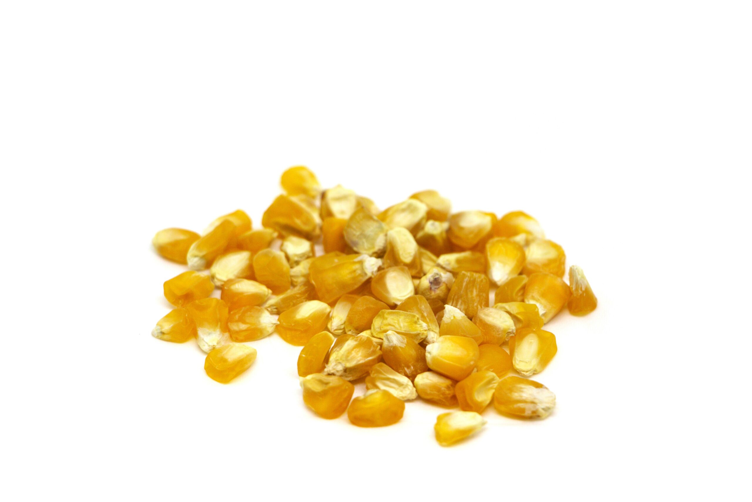 Organic mais seed