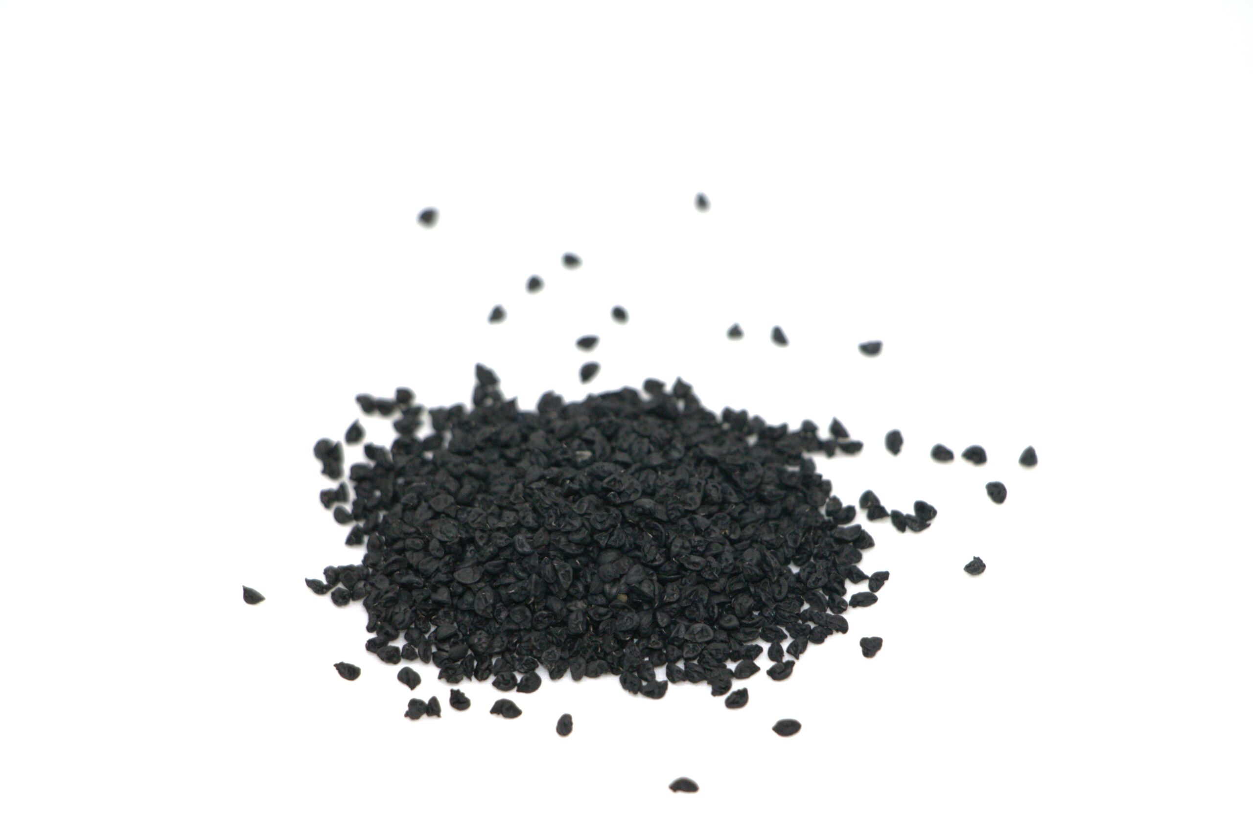 Organic Leek seed