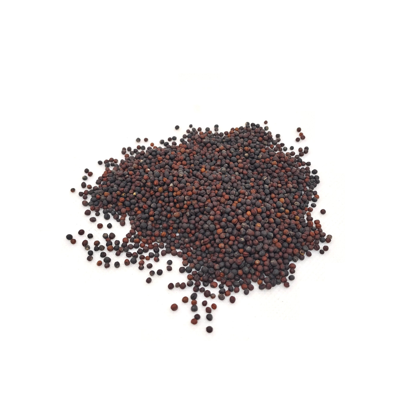 Organic seeds for microgreens