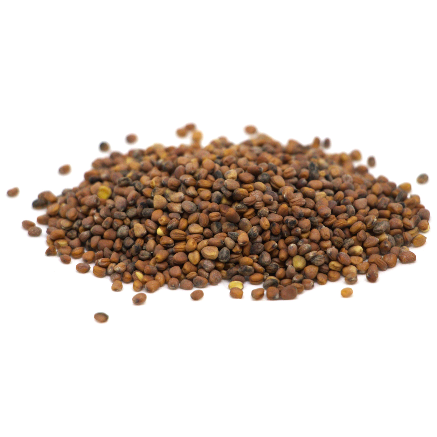 Radish china rose organic seeds