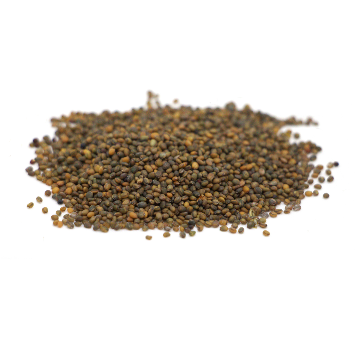 Organic seeds of rocket