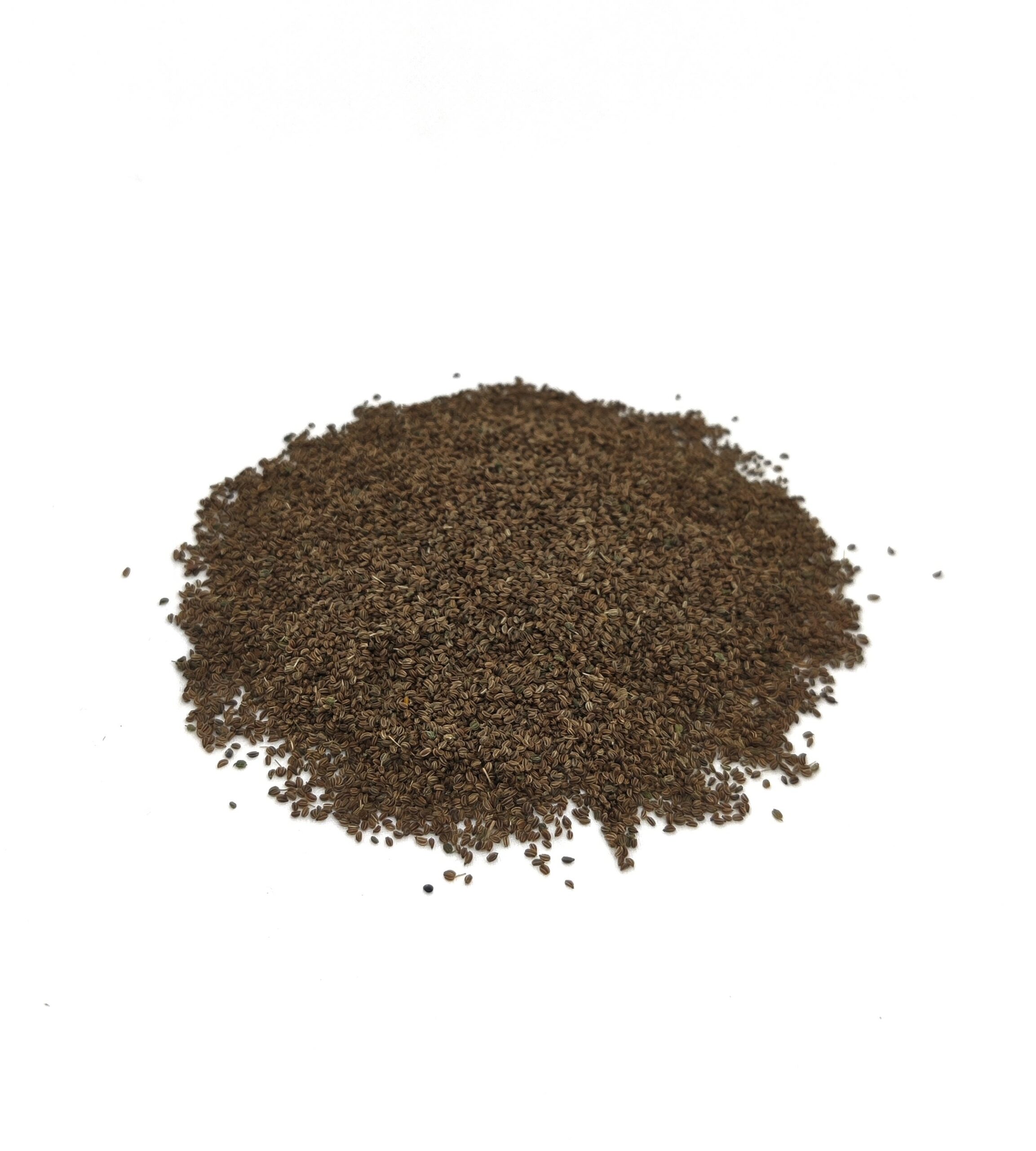 Celery organic seed