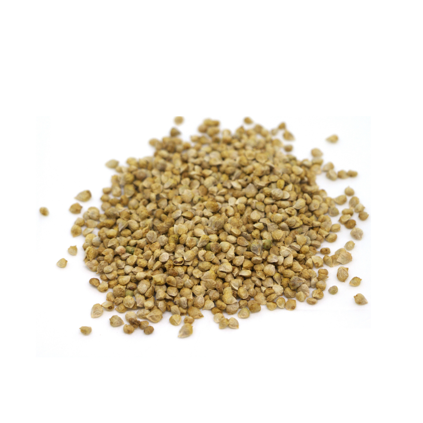 Spinach organic seeds