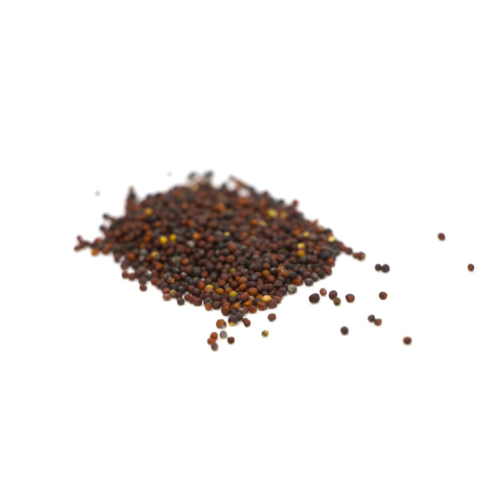 Organic Komatsuna green seed
