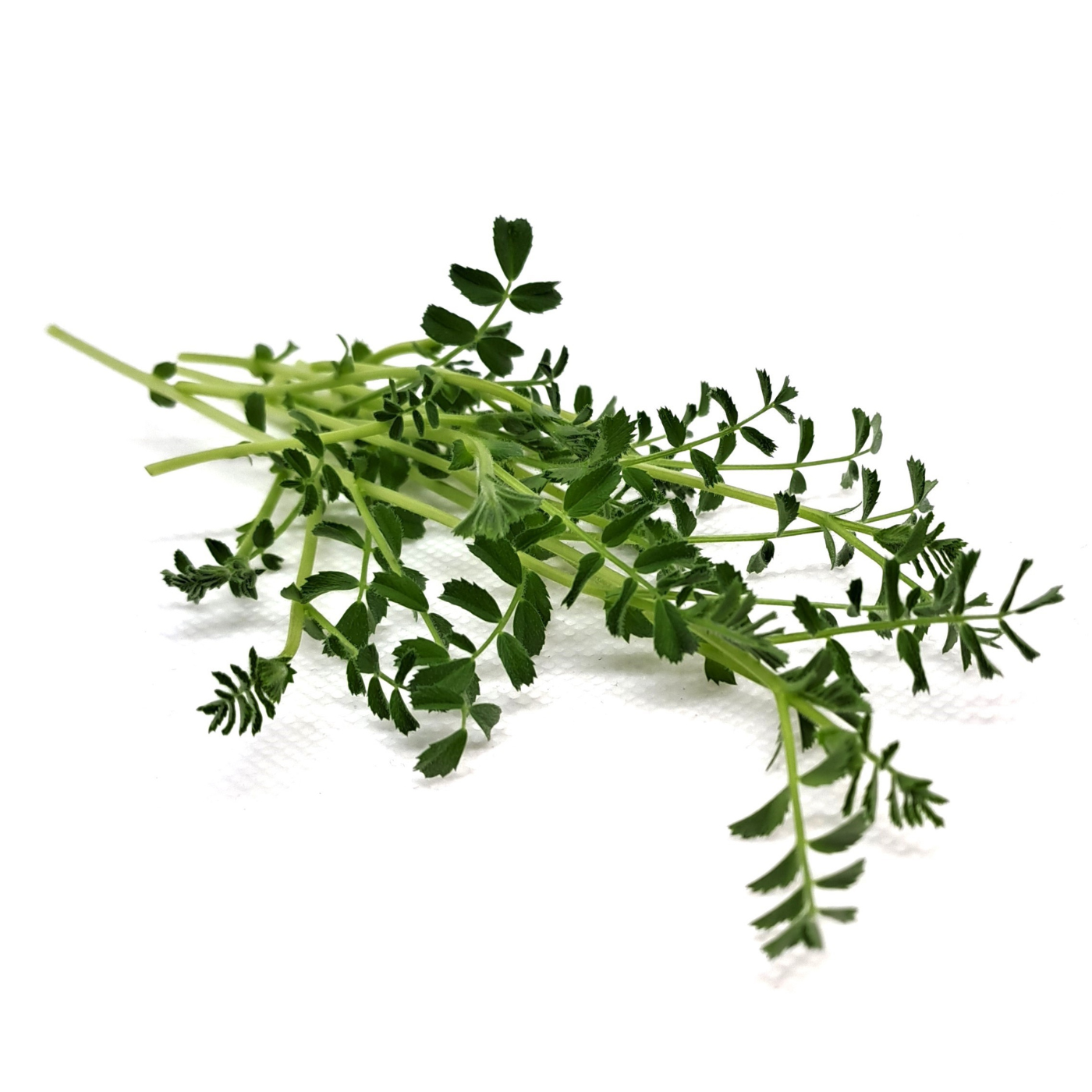 Legumi - Semi per microgreens