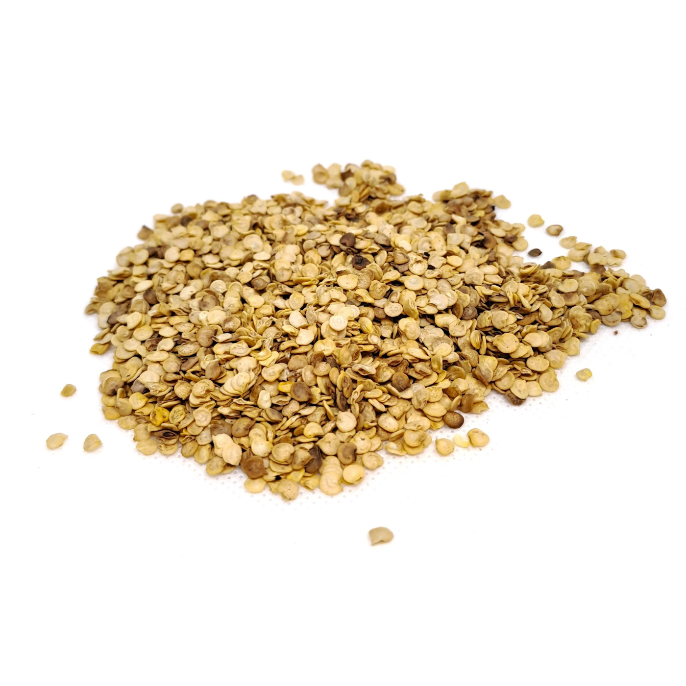 Organic seeds of Diavolicchio Calabrese chili
