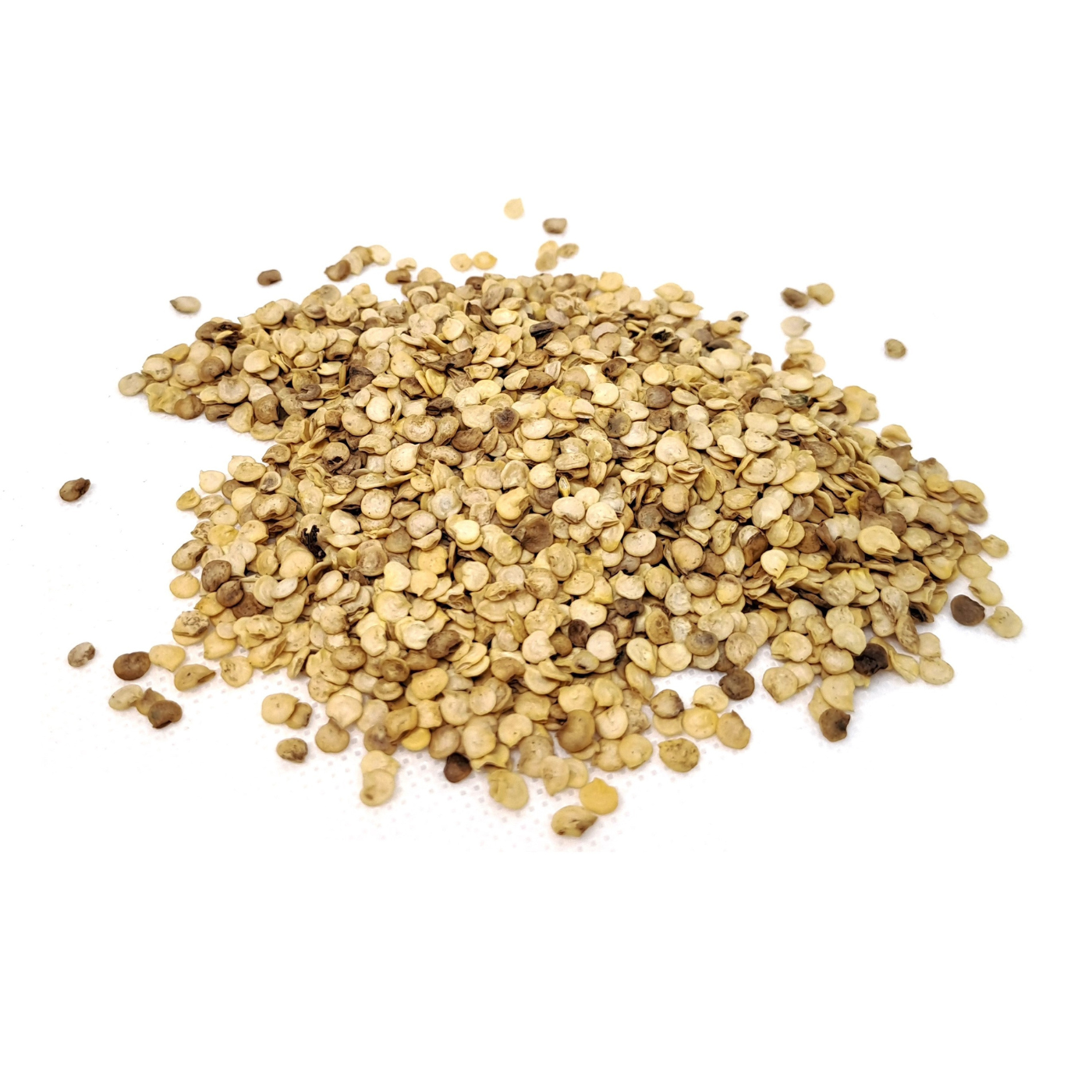 Organic seeds of habanero chili